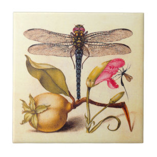 Carreau En Céramique Libellule Botanique Nature Faune Hoefnagel Art
