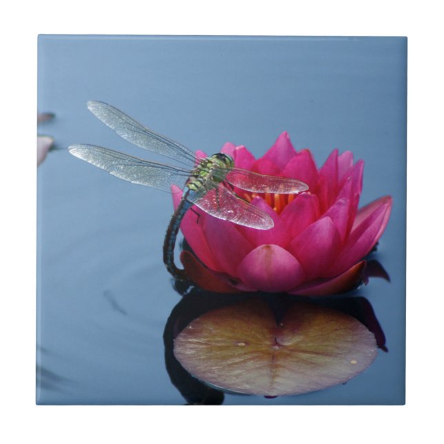Carreau En Céramique Libellule sur la fleur de Lotus (Devant)