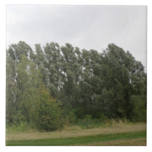 Carreau En Céramique Ligne d'arbres penchés Carrelage paysage