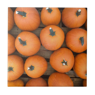 Carreau En Céramique Lignes citrouilles