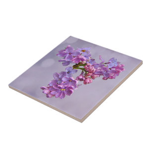 Carreau En Céramique Lilacs au printemps