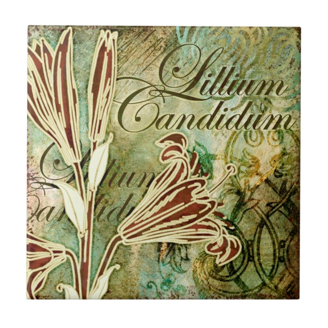 Carreau En Céramique Lillium candidum (Devant)