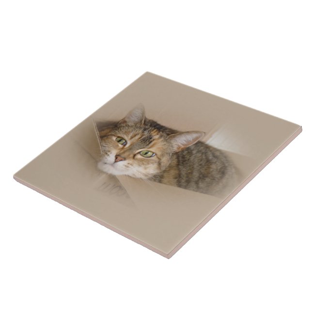 Carreau En Céramique Lily #2 (Côté)