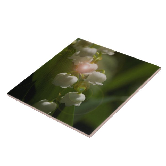 Carreau En Céramique Lily De La Vallée Florale (Côté)