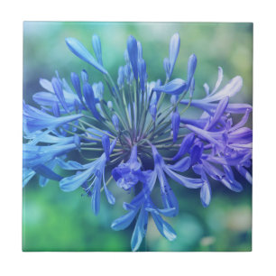 Carreau En Céramique Lily du Nil