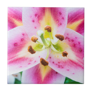 Carreau En Céramique Lily en gros plan