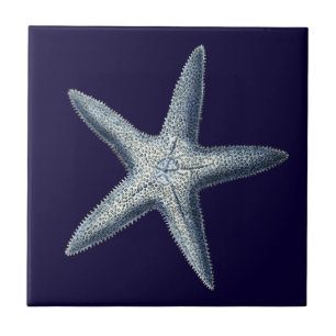 Carreau En Céramique L'indigo écosse IV