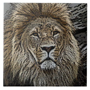 Carreau En Céramique Lion_2015_0501