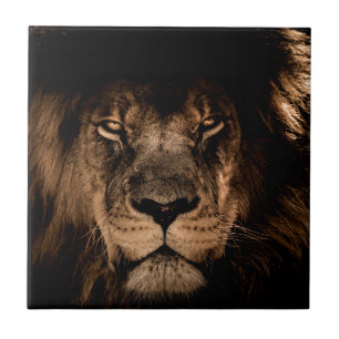 Carreau En Céramique lion d'afrique yeux fermés