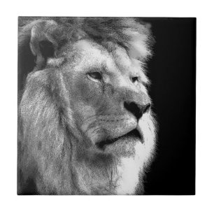 Carreau En Céramique Lion noir blanc