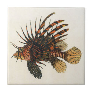 Carreau En Céramique Lionfish Poisson, Vieille Marine Vie Océanique Ani