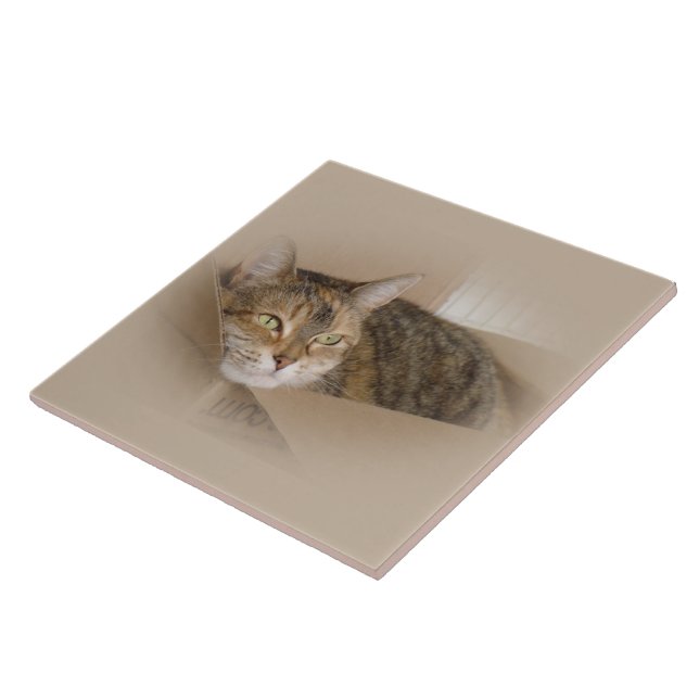 Carreau En Céramique Lis #1 (Côté)