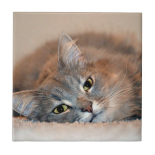 Carreau En Céramique Long chapeau bleu russe par Shirley Taylor