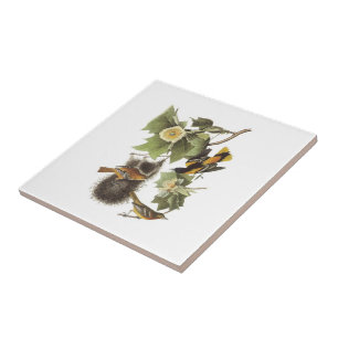 Carreau En Céramique Loriot du nord par Audubon