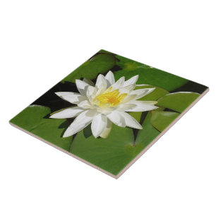 Carreau En Céramique Lotus blanc