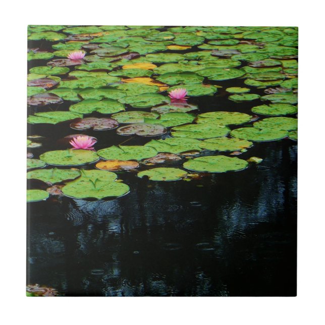 Carreau En Céramique lotus rose noir (Devant)