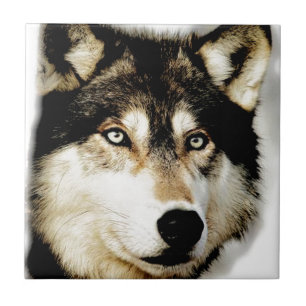 Carreau En Céramique Loup motivationnel unique