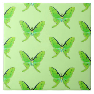 Carreau En Céramique Luna moth sur un arrière - plan vert pâle