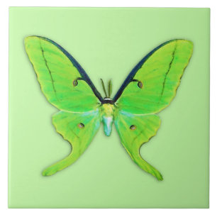 Carreau En Céramique Luna moth sur un arrière - plan vert pâle