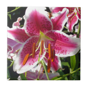 Carreau En Céramique Lys roses fleurs tropicales roses rose
