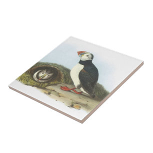 Carreau En Céramique Macareux atlantique par Audubon