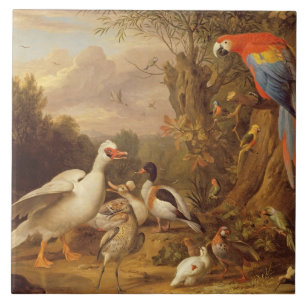 Carreau En Céramique Macaw, Canards, perroquets et autres oiseaux sur u