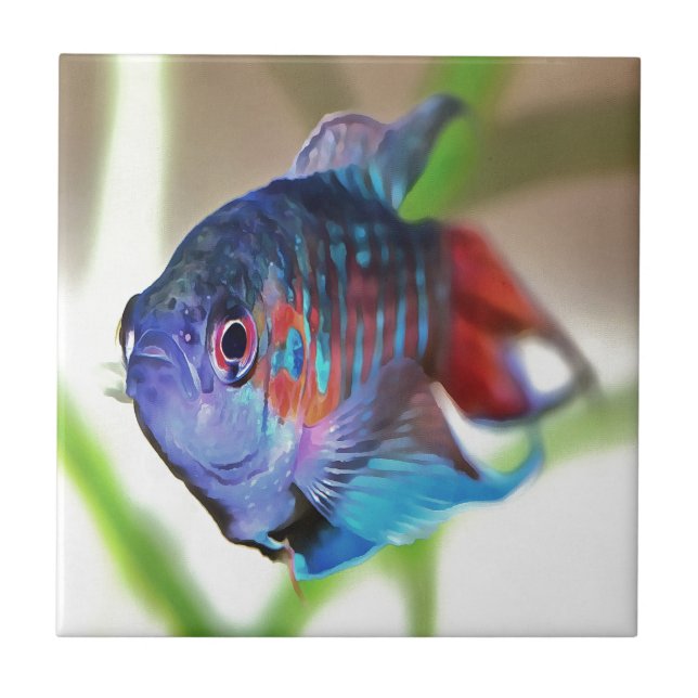 Carreau En Céramique Macropodus Opercularis Aquarium Poisson (Devant)