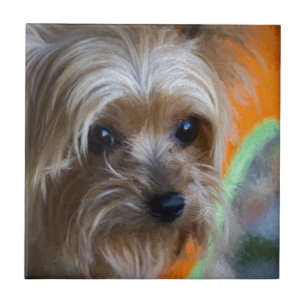 Carreau En Céramique Madame Yorkshire Terrier