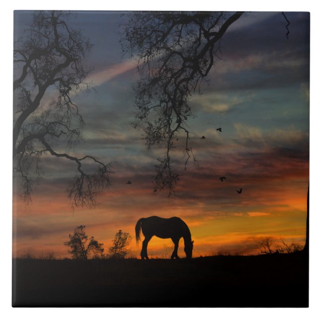 Carreau En Céramique Magnifique Carrelage d'art Cheval Sud-Ouest (Devant)