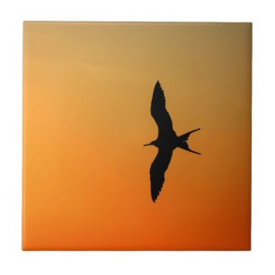 Carreau En Céramique Magnifique frégate oiseau volant coucher de soleil