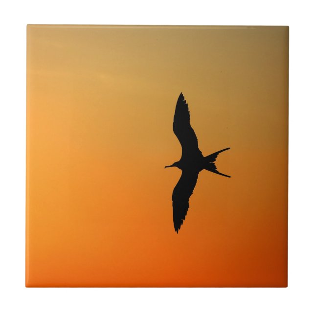 Carreau En Céramique Magnifique frégate oiseau volant coucher de soleil (Devant)