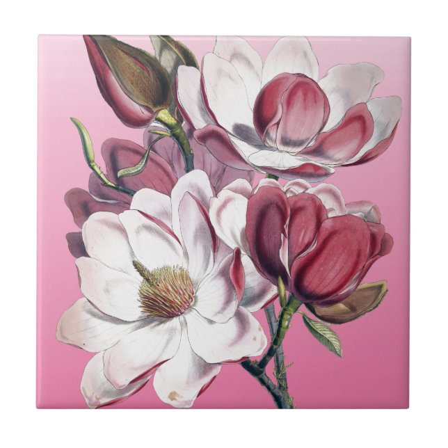 Carreau En Céramique Magnolia rose (Devant)