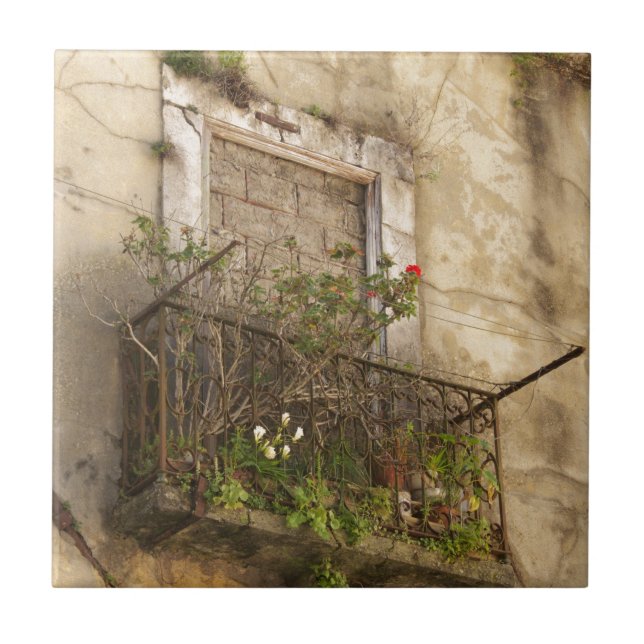 Carreau En Céramique Maison ancienne abandonnée (Devant)