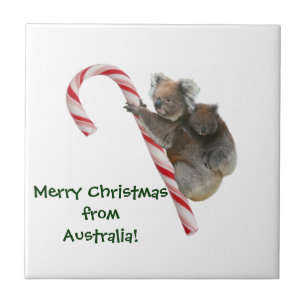 Carreau En Céramique Maman et Joey Koala Sucre de canne Noël