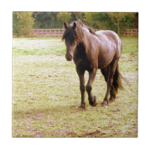 Marche Brown Relaxed de cheval