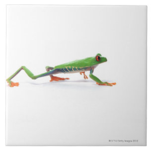 Carreau En Céramique Marche observée par rouge de grenouille d'arbre