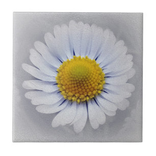 Carreau En Céramique marguerite blanche brillante