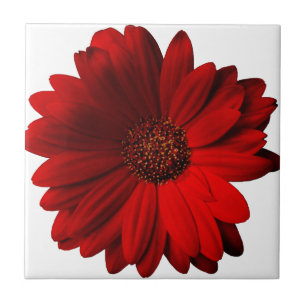Carreau En Céramique Marguerite rouge de Gerbera