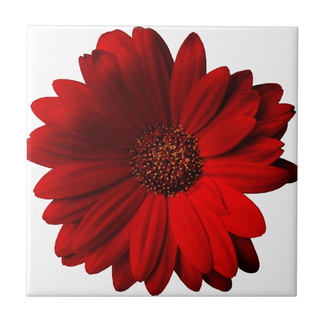 Carreau En Céramique Marguerite rouge de Gerbera (Devant)