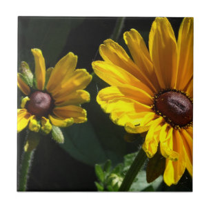 Carreau En Céramique Marguerites à oeil noir