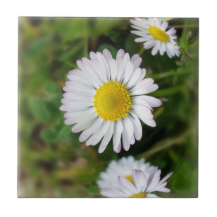 Carreau En Céramique Marguerites minuscules