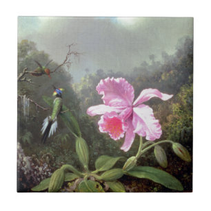 Carreau En Céramique Martin Johnson Heade Orchid Et Hummingbirds