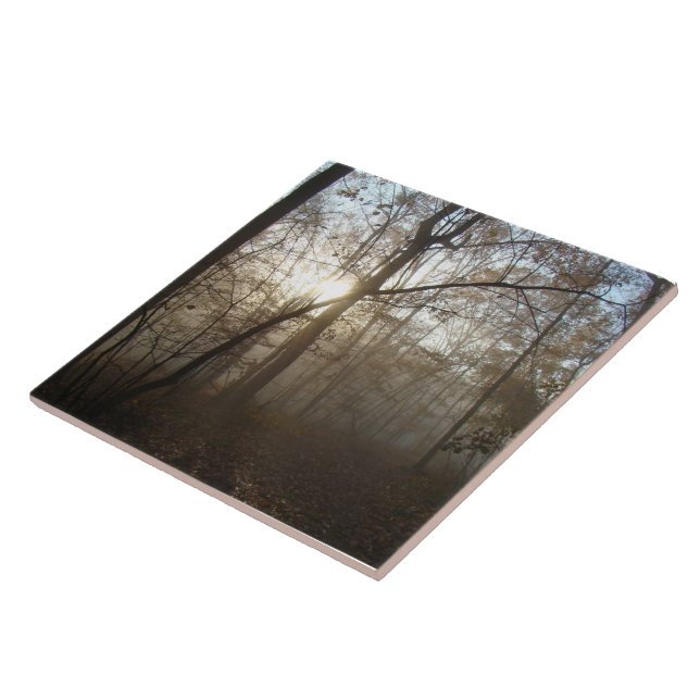 Carreau En Céramique Matinée d'automne brumeuse dans la forêt #1 (Côté)
