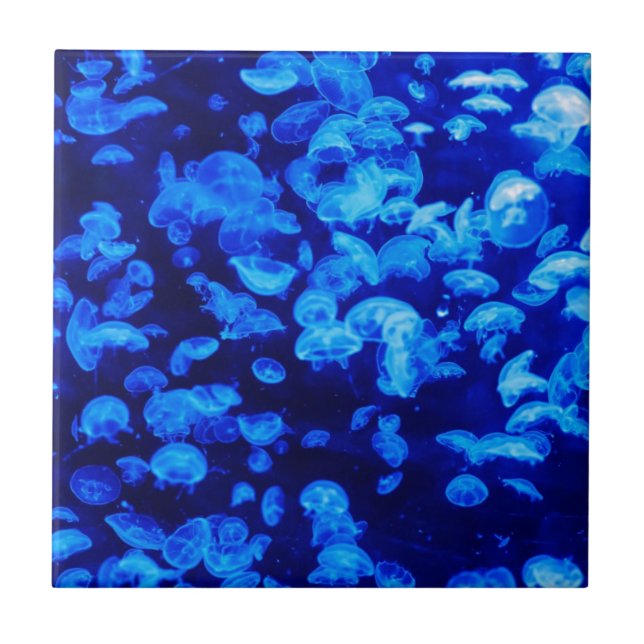 Carreau En Céramique Méduses en mer bleue profonde (Devant)