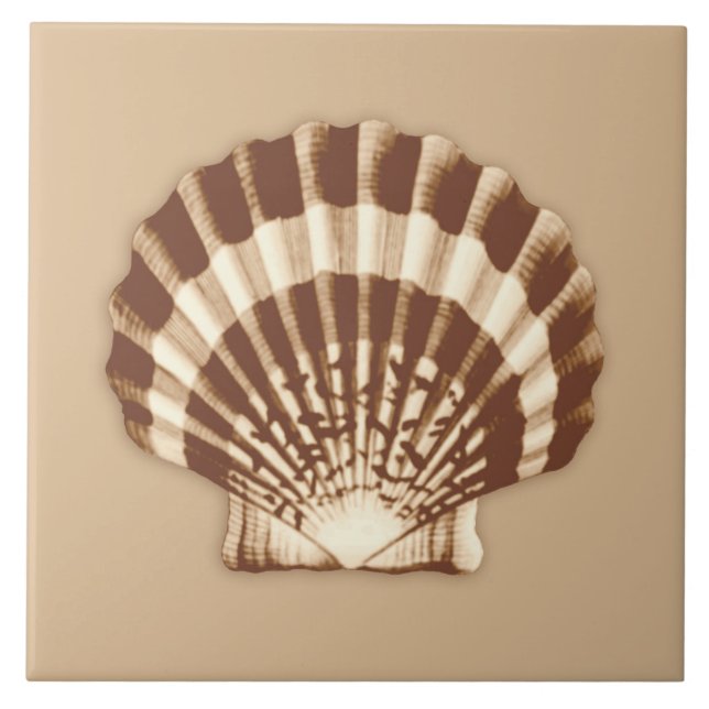 Carreau En Céramique Mer Shell - brun et beige (Devant)