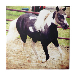 Carreau En Céramique Mini cheval à la liberté