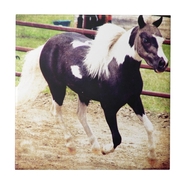 Carreau En Céramique Mini Horse en liberté (Devant)