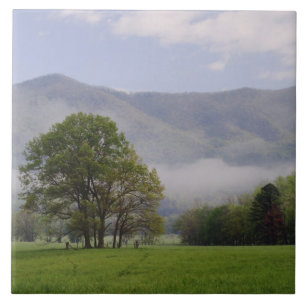 Carreau En Céramique Misty meadow and Rich Mountain, Cades Cove,