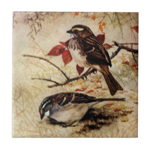 Carreau En Céramique Moineaux et feuille Blanc-Throated d'automne