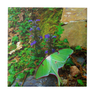 Carreau En Céramique Mois Luna Vert